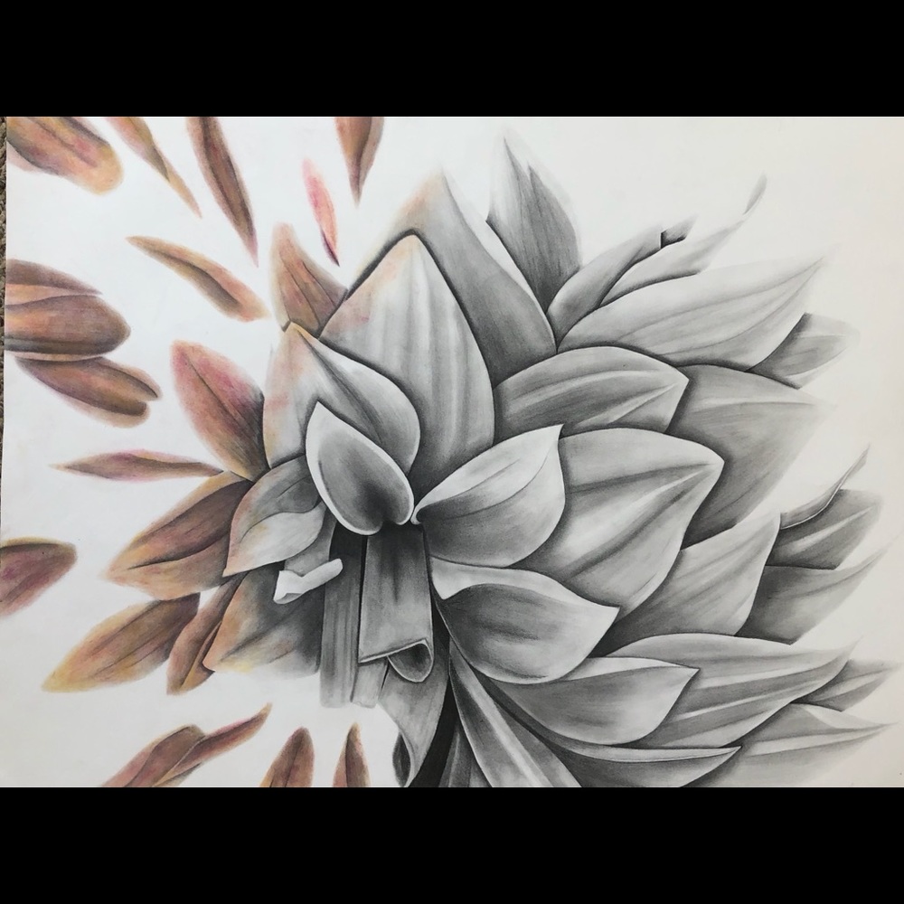 Coral - ORIGINAL ARTWORK